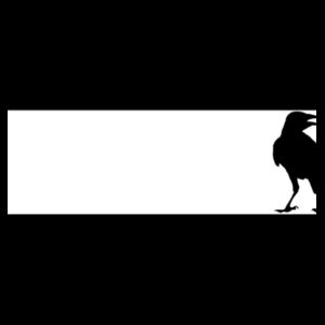 Black Raven Bird T-Shirt Design